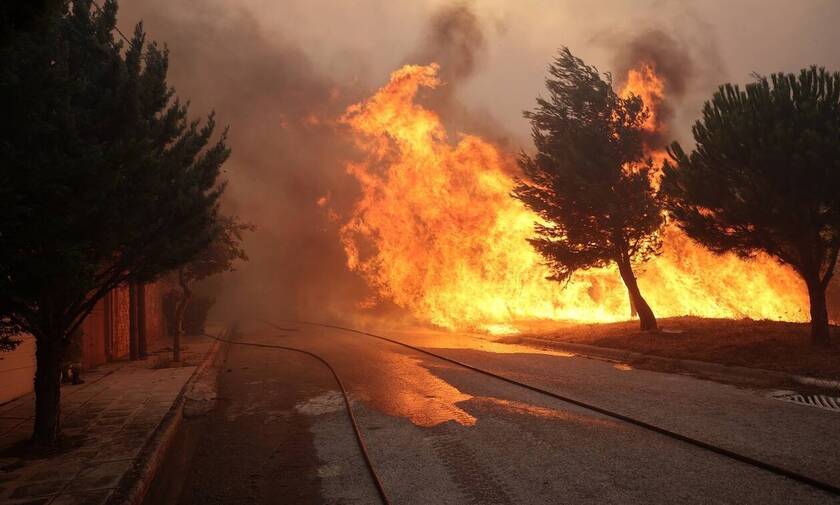 Πυροσβεστική: 44 δασικές πυρκαγιές το τελευταίο 24ωρο