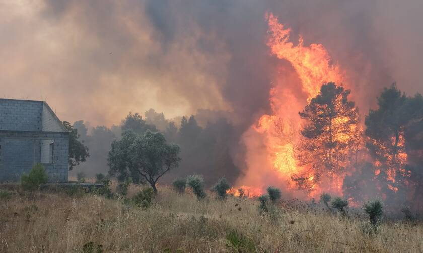 Φωτιά κοντά στον οικισμό Βασιλική Ιεράπετρας