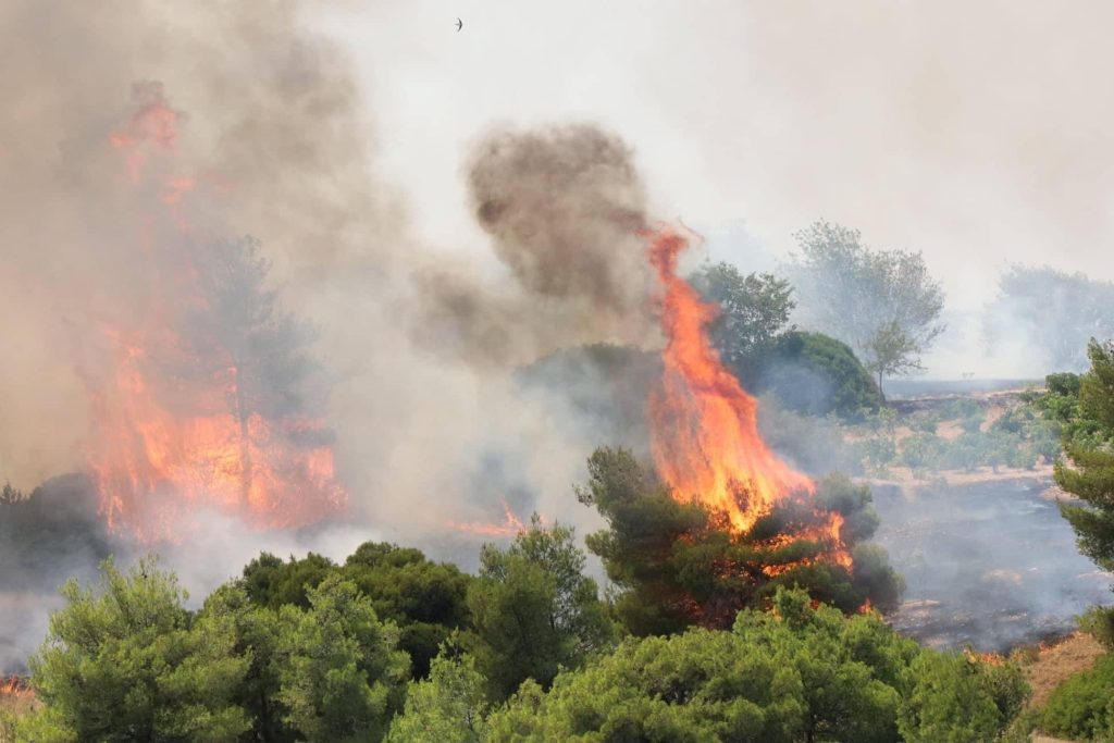 Φωτιά σε αγροτοδασική έκταση στην Καλλονή Τροιζήνας