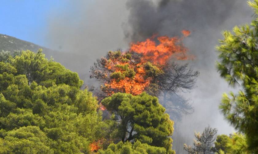 Πολύ υψηλός κίνδυνος πυρκαγιάς τη Δευτέρα σε Αττική, Εύβοια και Βοιωτία