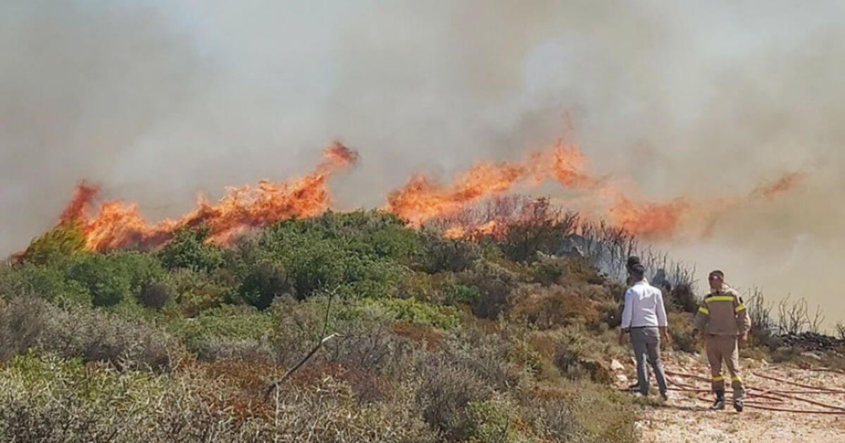 Φωτιά τώρα στην Πέλλα – Επιχειρούν ισχυρές δυνάμεις της Πυροσβεστικής