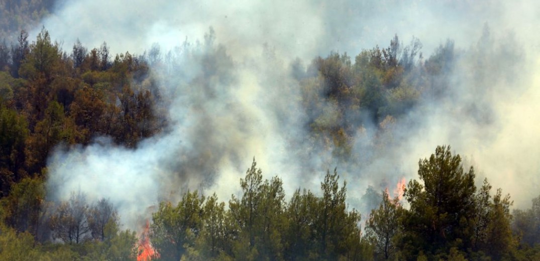 Χαλκιδική: Τρία πύρινα μέτωπα σε Κασσάνδρα και Σιθωνία