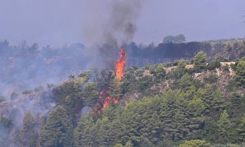 Φωτιά στην Ηλεία: Σε ύφεση και χωρίς ενεργό μέτωπο