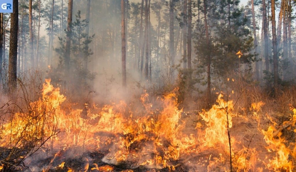 Φωτιές Ιουλίου: Έγιναν «στάχτη» πάνω από 130.000 στρέμματα