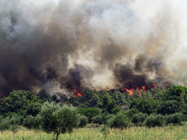 Ρόδος: Φωτιά τώρα κοντά στον οικισμό Κρητηνιά