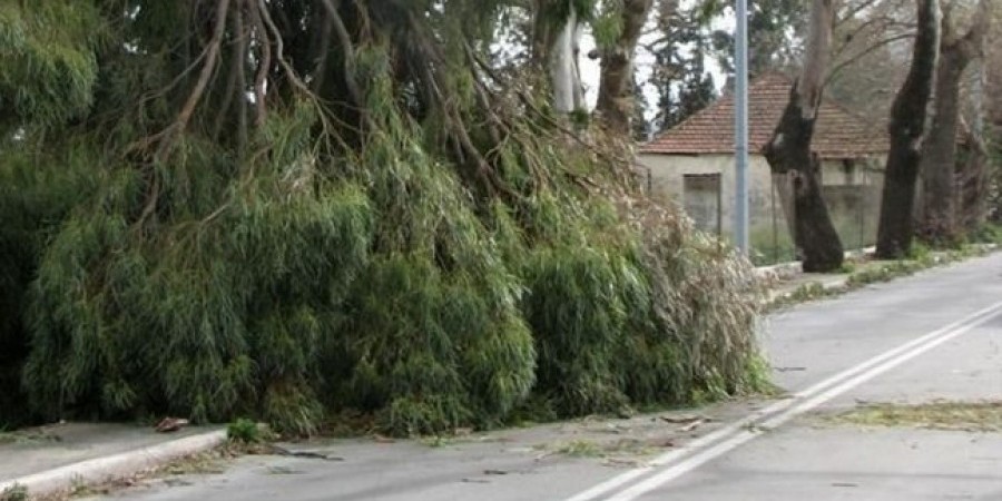 Σέρρες: 69χρονος βρήκε τραγικό θάνατο – Καταπλακώθηκε από δέντρο