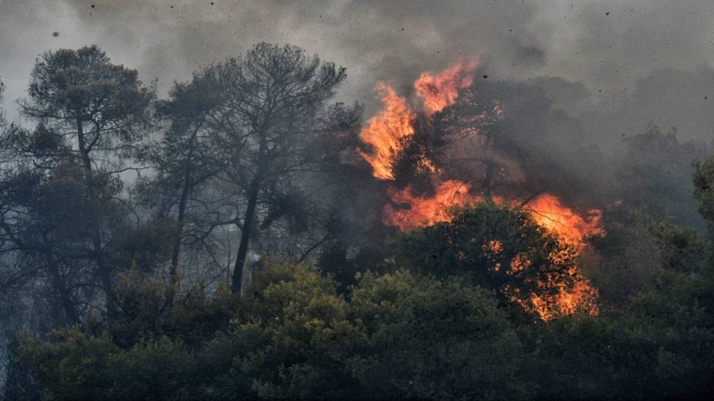 Φωτιά τώρα στη Ζάκυνθο