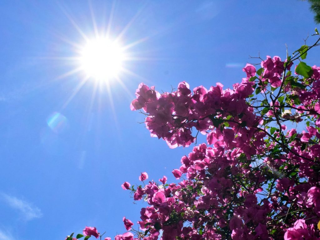 Αίθριος ο καιρός αύριο: Στους 23°C ο υδράργυρος στην Αττική – Η πρόγνωση της ΕΜΥ