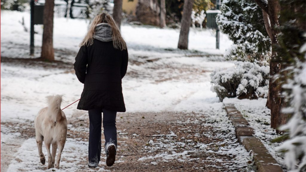 Σε αυτές τις 8 περιοχές το κρύο είναι… τσουχτέρο: Δείτε λίστα με τις χαμηλότερες ελάχιστες θερμοκρασίες (φωτό)