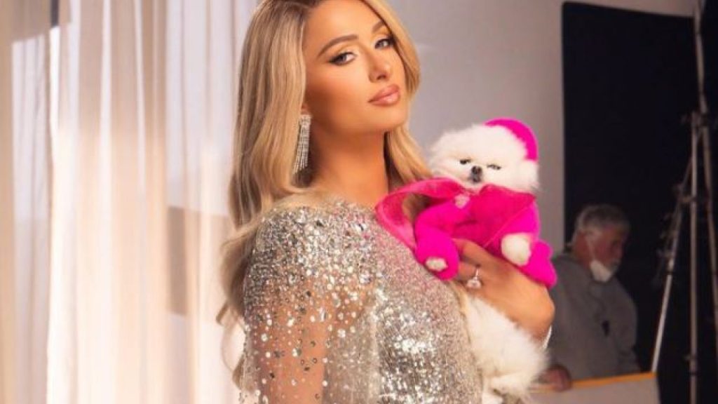 Η Paris Hilton έγινε… μαμά! – Απέκτησε ένα αγοράκι μέσω παρένθετης μητέρας (φώτο)