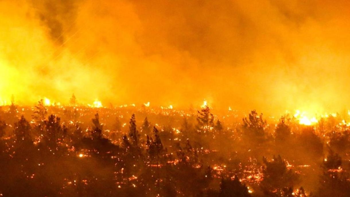 Φονικές πυρκαγιές στη Χιλή: Η στιγμή που αμάξι περνά μέσα από τις φλόγες