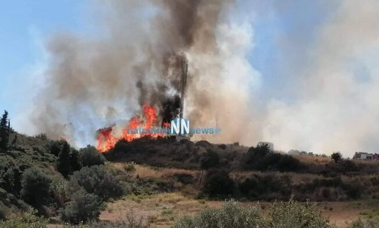 Φωτιά στη Ναύπακτο: Δύο ανήλικοι 12 και 13 ετών κατηγορούνται για τον εμπρησμό στον Πλατανίτη