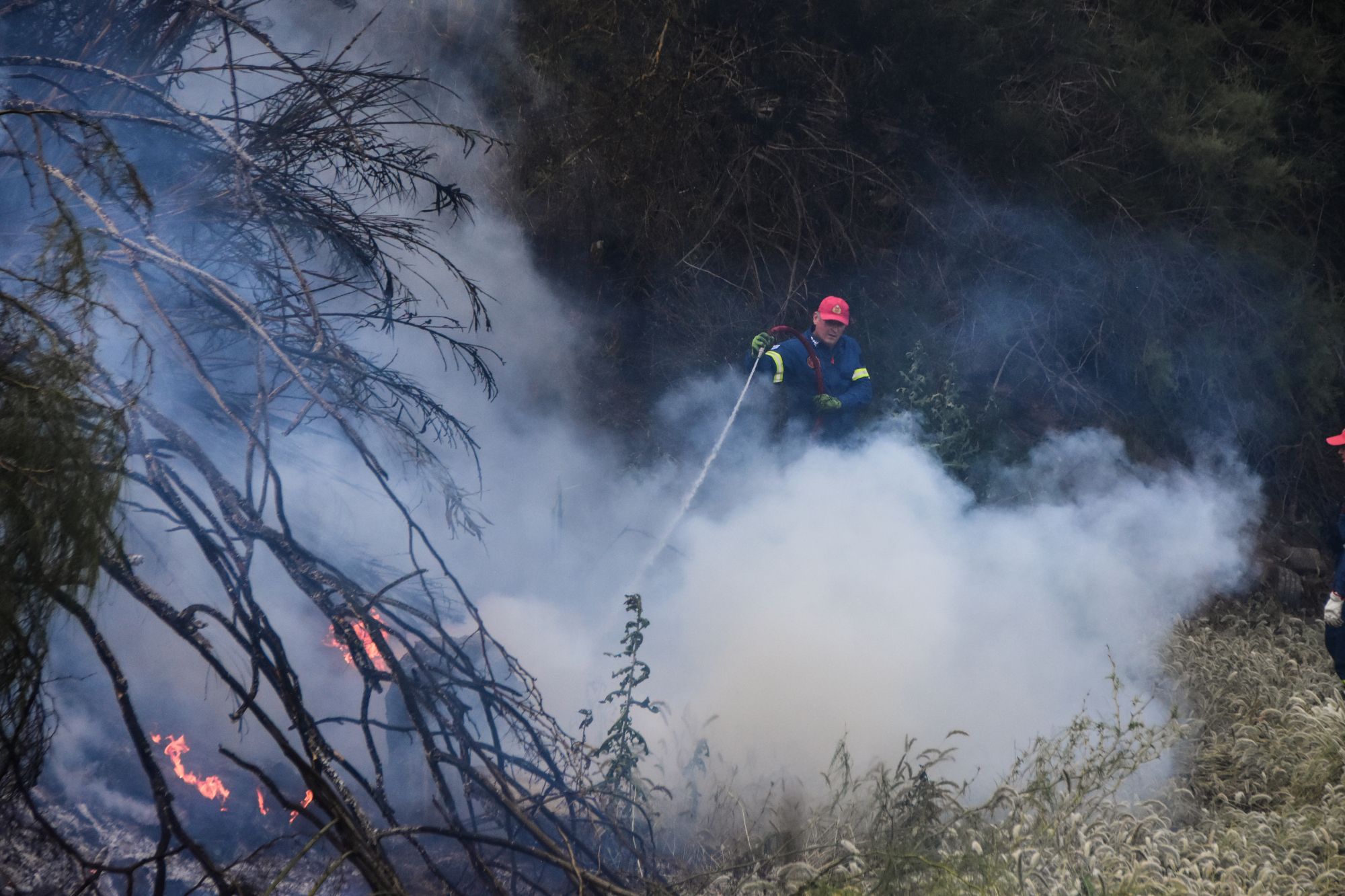 Φωτιά στον Ωρωπό: Βελτιωμένη η εικόνα – Παραμένουν ισχυρές δυνάμεις της Πυροσβεστικής (upd)