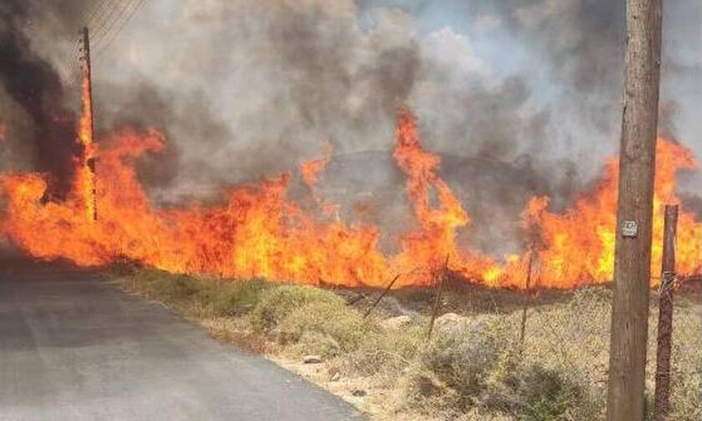 Ελεύθερος αφέθηκε ο 75χρονος μελισσοκόμος που συνελήφθη για τη φωτιά στο Αλιβέρι Εύβοιας