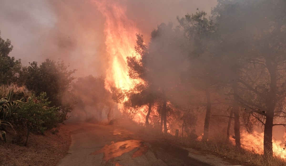 Συναγερμός στην Πυροσβεστική: Πολύ υψηλός κίνδυνος πυρκαγιάς την Τετάρτη 12 Ιουλίου