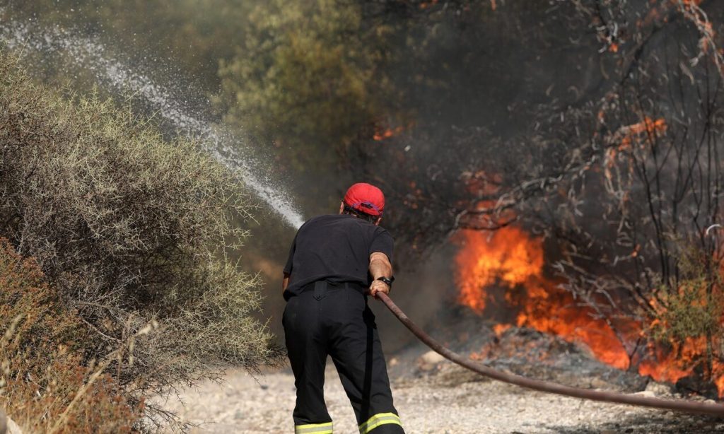 Φωτιά στο Δαμάσι Λάρισας – Στο σημείο έσπευσε η Πυροσβεστική