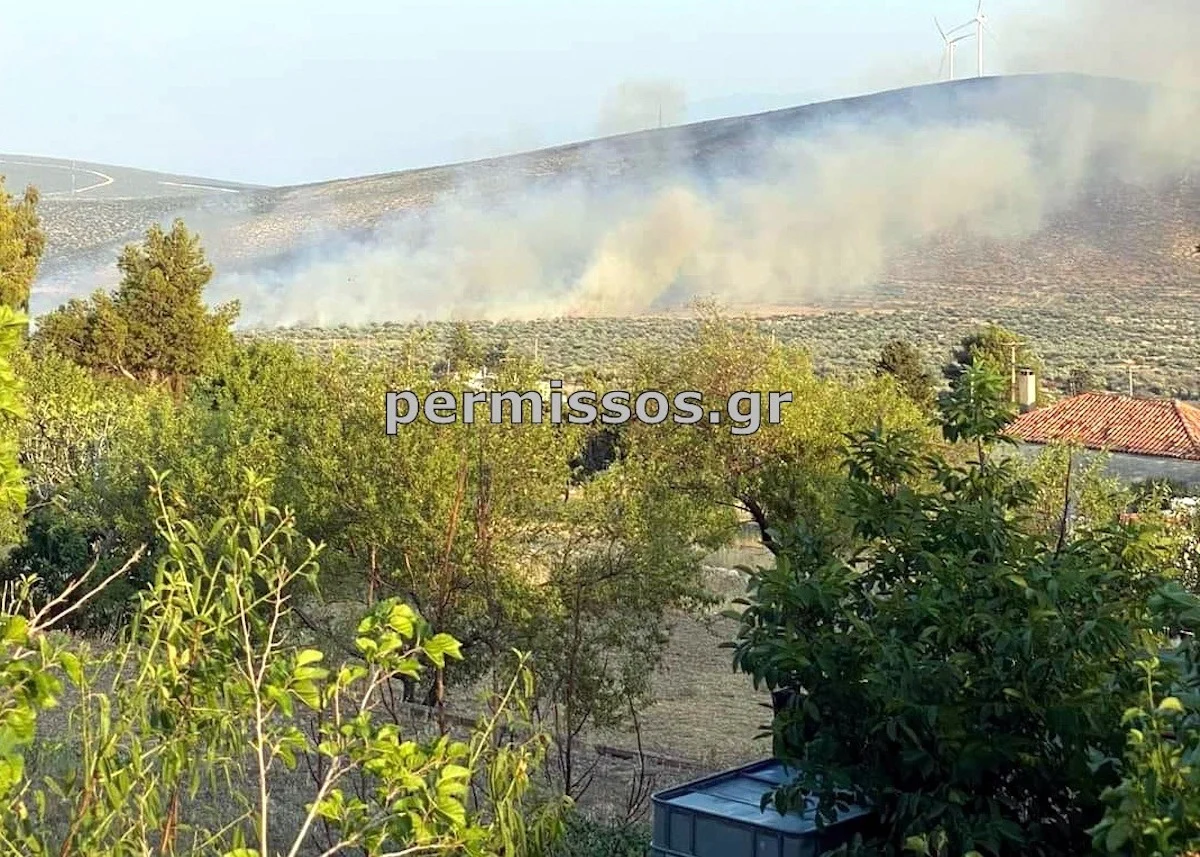 Οριοθετήθηκε το διπλό μέτωπο στον Πρόδρομο Βοιωτίας (βίντεο)