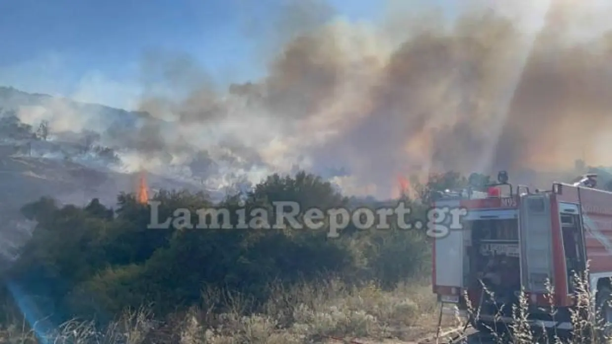 Φωτιά στη Λαμία – Στο σημείο επιχειρούν επίγειες και εναέριες δυνάμεις