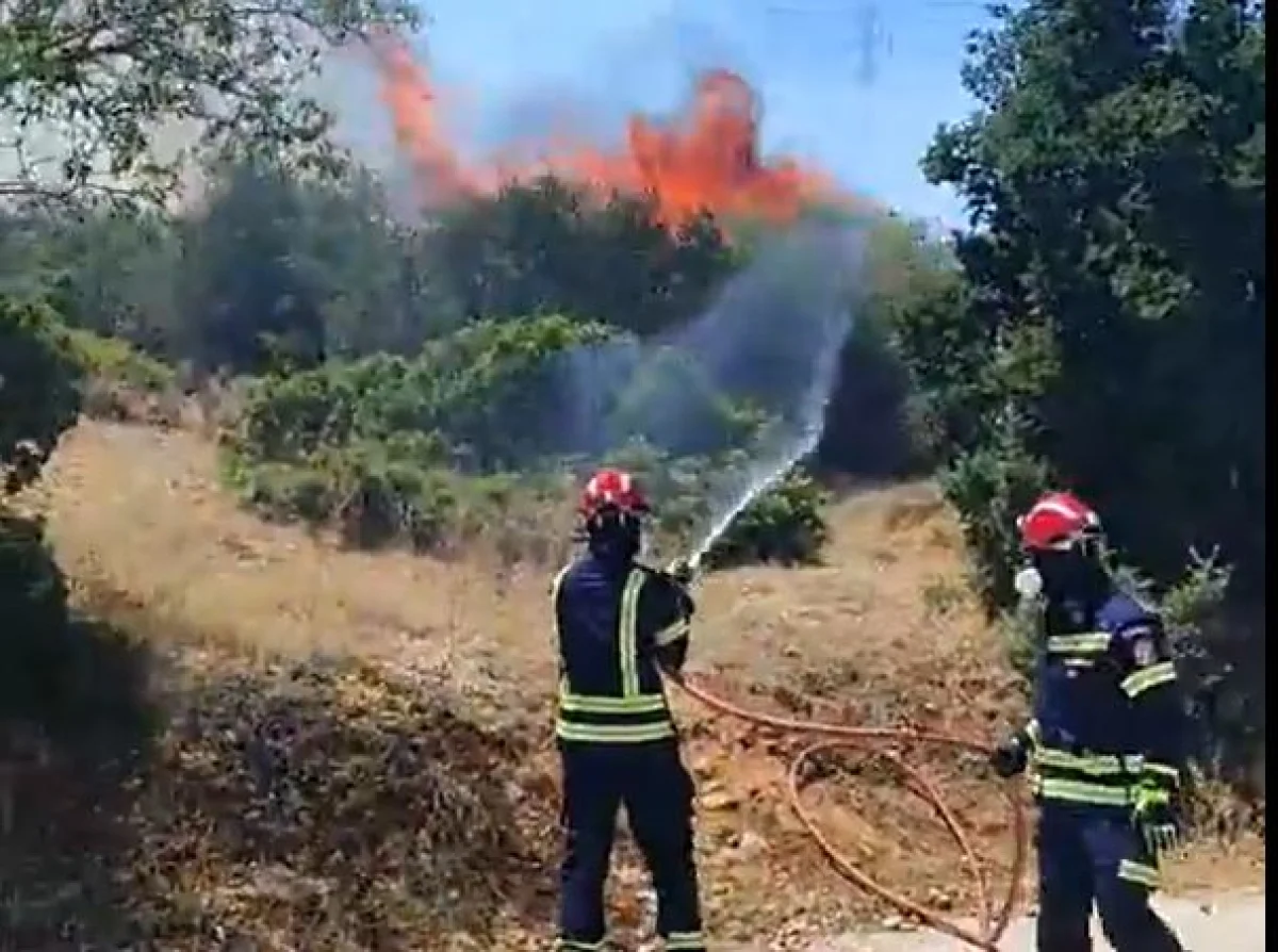 Στη μάχη με τις φλόγες και ο Ερυθρός Σταυρός – «Είναι τρομοκρατημένος ο κόσμος»