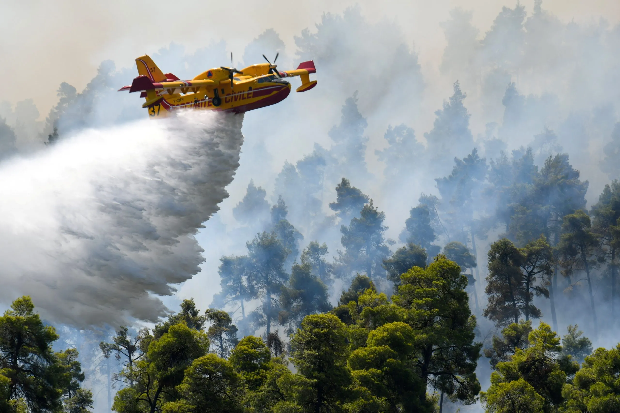 Σε πύρινο κλοιό η χώρα: Εκτός ελέγχου για 6η συνεχή ημέρα η φωτιά στη Ρόδο – Πυρκαγιές σε Εύβοια, Αίγιο, Μεσσηνία, Βοιωτία, Επίδαυρο