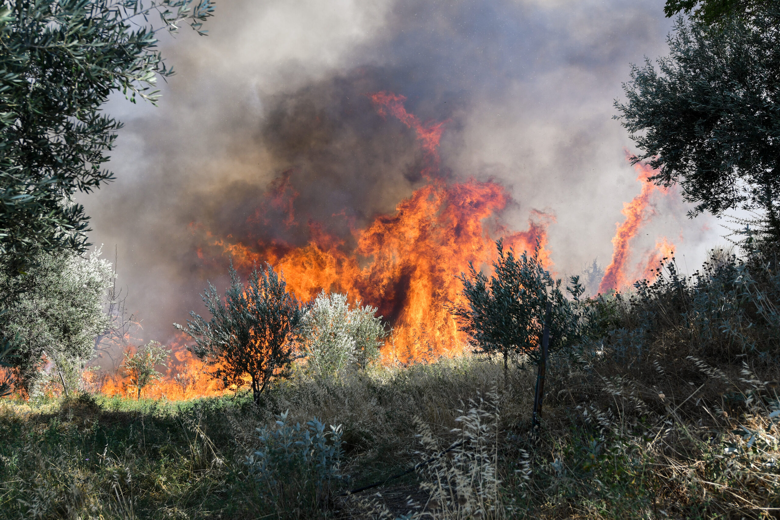 Εκκενώνονται τέσσερις οικισμοί  στην Κάρυστο