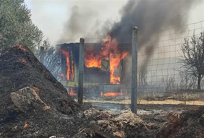 Φωτιές στην Ελλάδα: Η επίσημη ενημέρωση της πυροσβεστικής – 64 δασικές πυρκαγιές σε μία μέρα