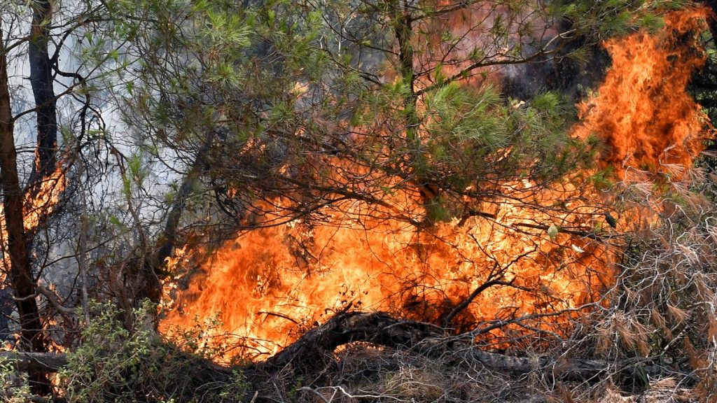 Ορατές από το διάστημα οι φωτιές που καίνε στην Ελλάδα – Δείτε χάρτη (φώτο)