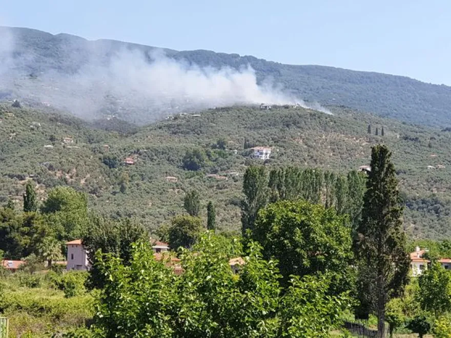 Πυρκαγιά ξέσπασε στο Πήλιο