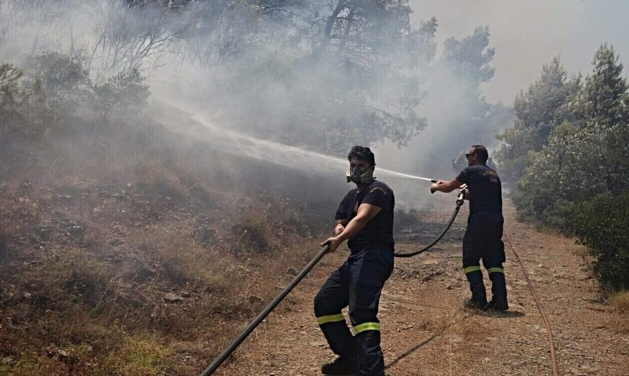 Βόλος: Χειροπέδες σε 76χρονο την ώρα που έκαιγε ξερά χόρτα για εμπρησμό από πρόθεση