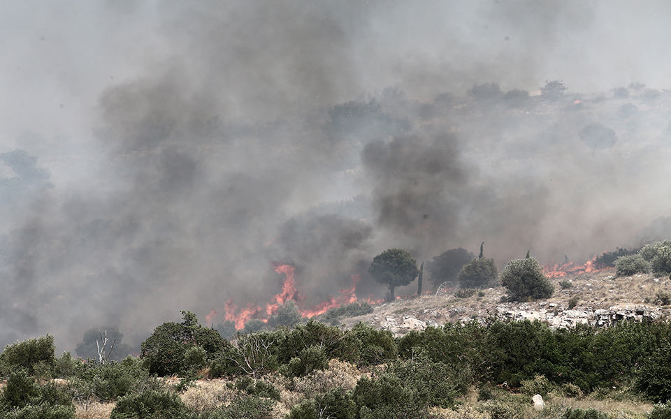 Πυρκαγιά ξέσπασε στη Νέα Ρόδα Χαλκιδικής