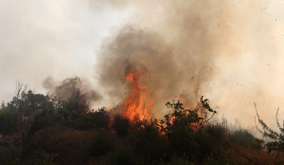 Συνολικά 52 φωτιές ξέσπασαν το τελευταίο 24ωρο σε όλη τη χώρα σύμφωνα με την Πυροσβεστική