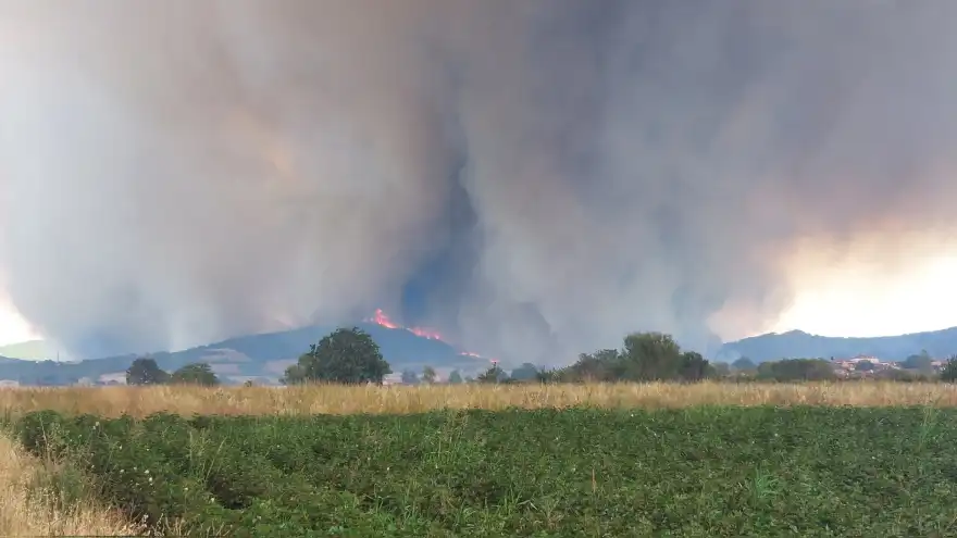 Φωτιά στην Αλεξανδρούπολη: Ευρεία σύσκεψη στην Περιφέρεια Έβρου