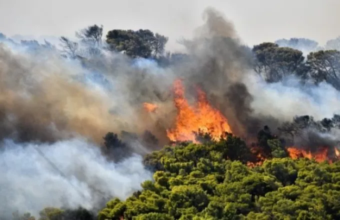 Πυρκαγιά ξέσπασε στην περιοχή Μελία στην Αλεξανδρούπολη – Καίει δασική έκταση