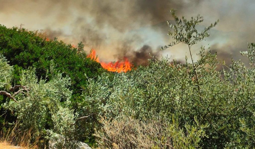 Εκτός ελέγχου η φωτιά στη Ροδόπη: «Περιμέναμε 2 ώρες τα Canadair» λέει ο αντιπεριφερειάρχης