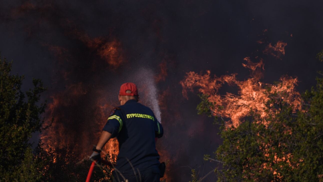 Φωτιά στον Έβρο: Νεκρός παράνομος αλλοδαπός στη Λευκίμμη