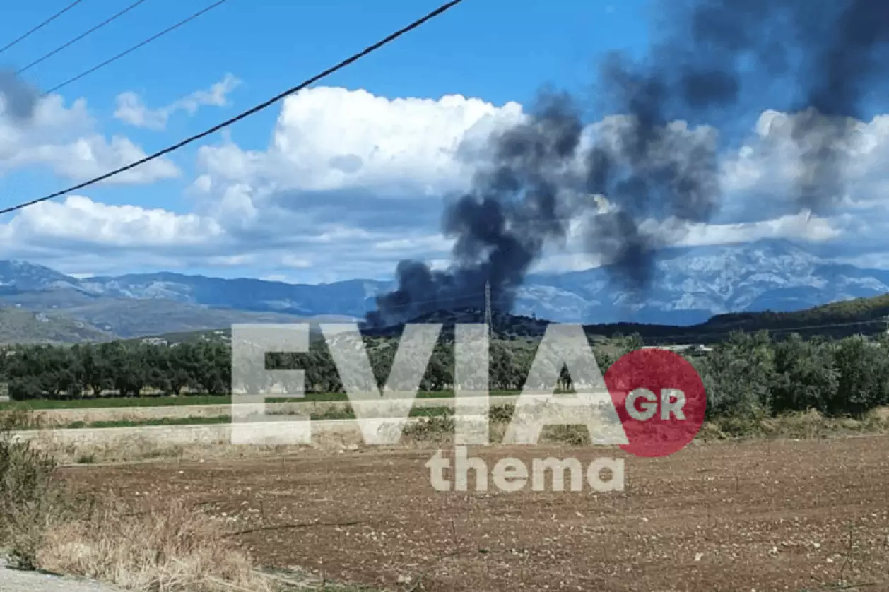 Εκτός ελέγχου η φωτιά στα Ψαχνά Ευβοίας: Ήχησε το 112 – «Παραμείνετε σε ετοιμότητα»