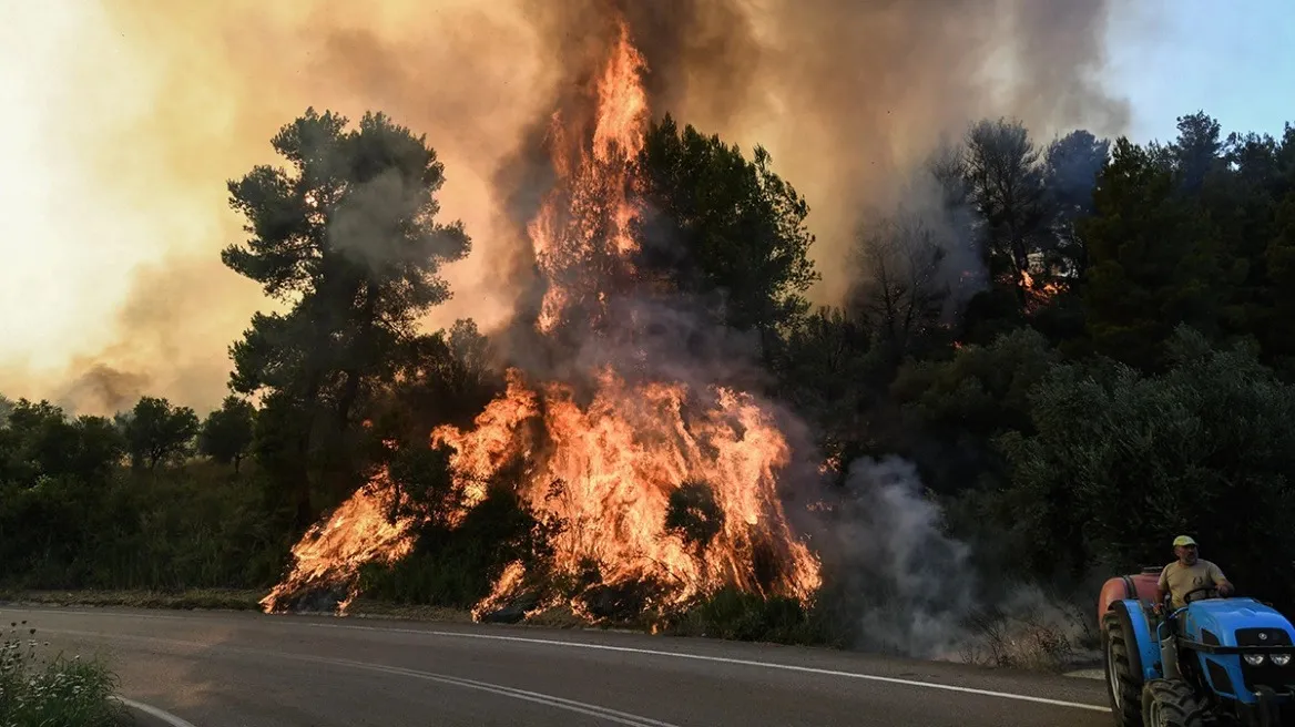 Φωτιά στον Έβρο: Στο δρόμο βρέθηκε νεκρός ο νεαρός παράνομος μετανάστης – Είχε περάσει η φωτιά από το σημείο