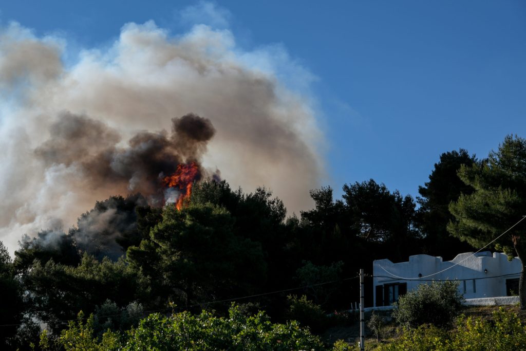 Οριοθετήθηκε η φωτιά που ξέσπασε σε δασική περιοχή στο Αηδονοχώρι Σερρών (upd)