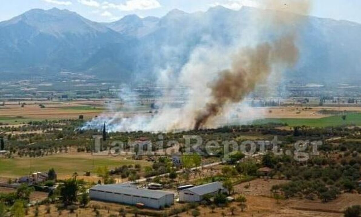 Πυροσβεστική: Ξέσπασαν δύο πυρκαγιές σε Ελάτεια και Δομοκό (φωτό)