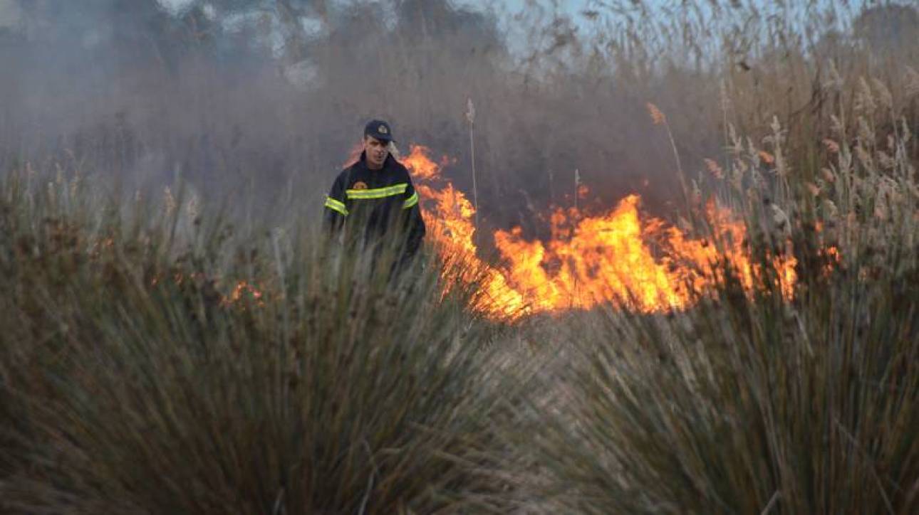 Κορινθία: Συνελήφθη ένας άνδρας για τη φωτιά που ξέσπασε στην περιοχή Στεφάνι