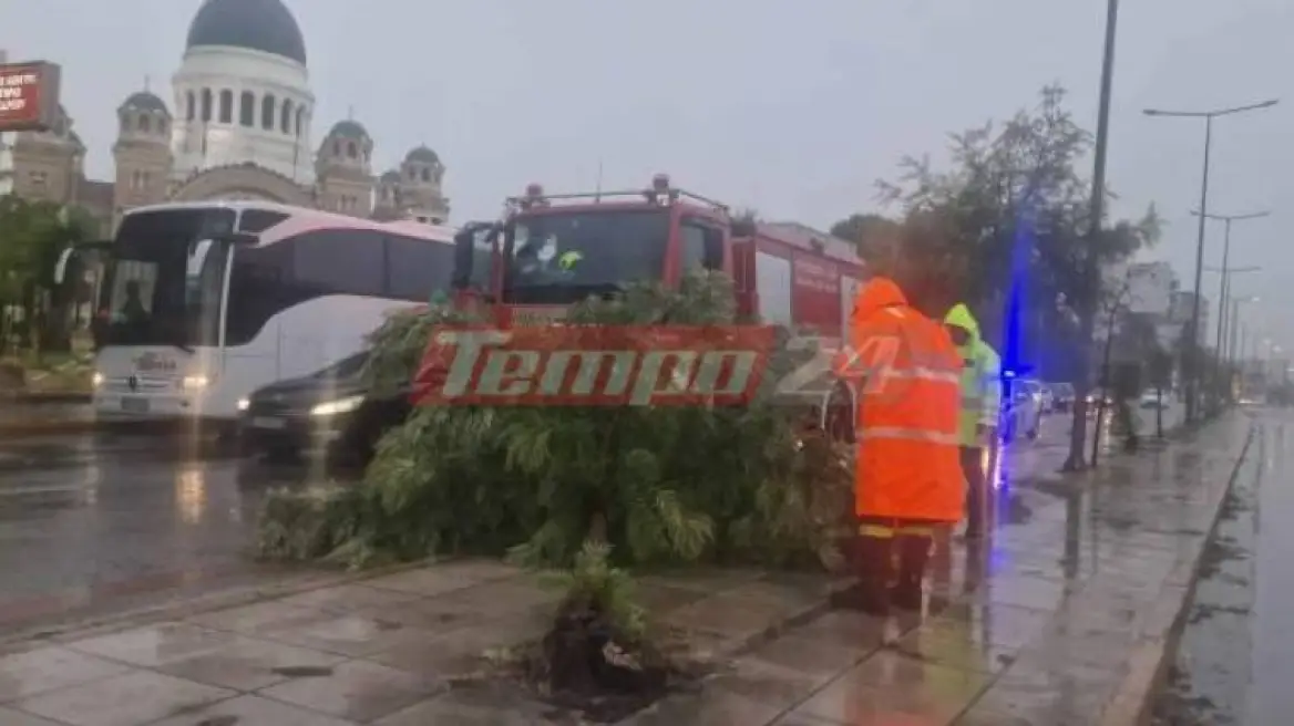 Κακοκαιρία Daniel: Ισχυρές βροχές και καταιγίδες στην Πάτρα – Πτώση δέντρου και πλημμυρισμένοι δρόμοι (βίντεο)