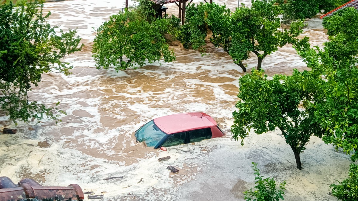 Η κακοκαιρία «σαρώνει» και την Εύβοια: Ποτάμια οι δρόμοι – Λεωφορείο βουλιάζει σε χείμαρρο (βίντεο)