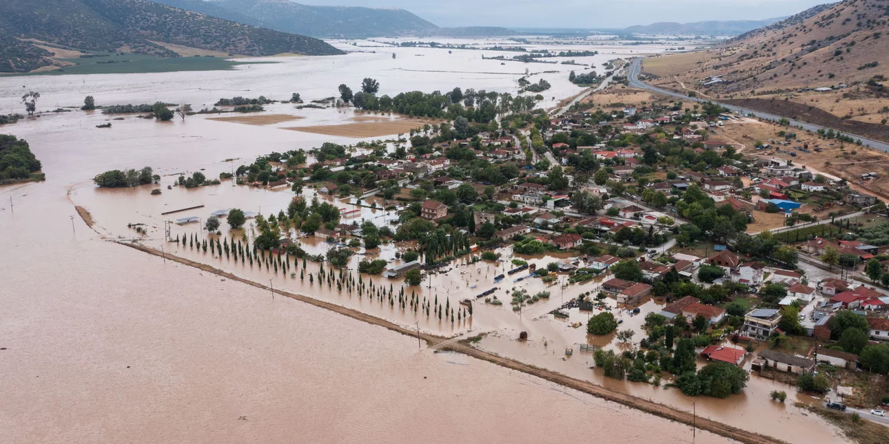 Σύσκεψη σήμερα στο υπουργείο Αγροτικής Ανάπτυξης και Τροφίμων: Για αποζημιώσεις και καύσεις νεκρών ζώων