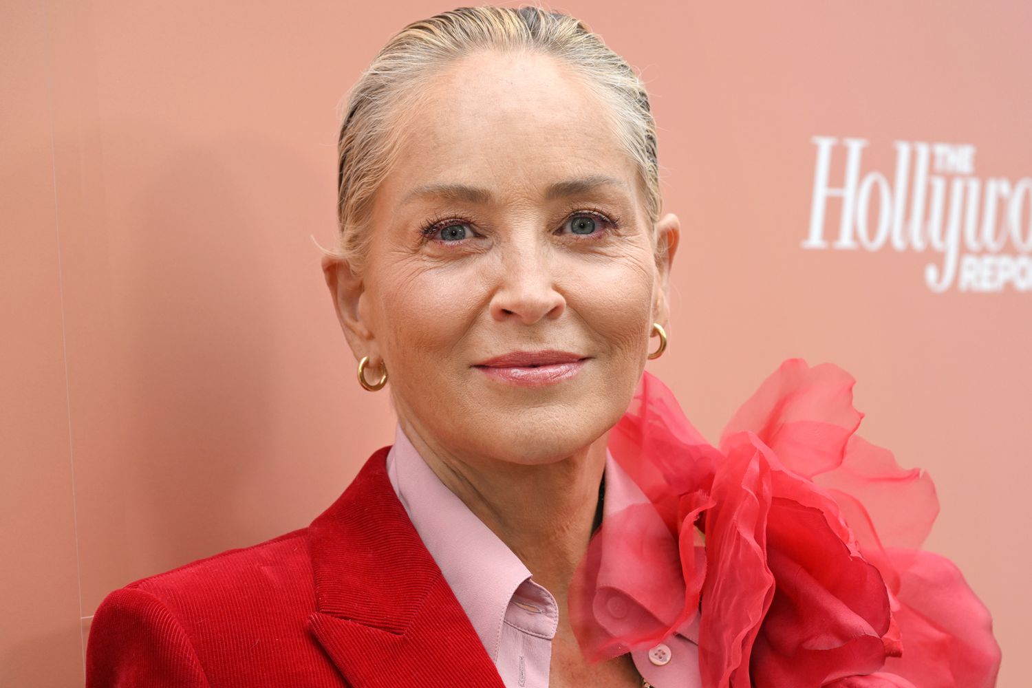 Sharon Stone: «Είμαι ανάπηρη – Πρέπει να κοιμάμαι 8 ώρες διαφορετικά μπορεί να πάθω κρίσεις επιληψίας»