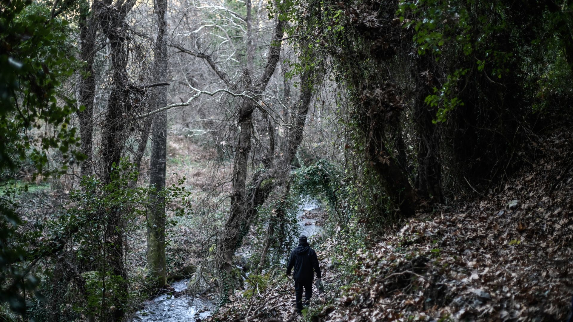 Αρκαδία: Επιχείρηση διάσωσης 10 πεζοπόρων στο Μαίναλο