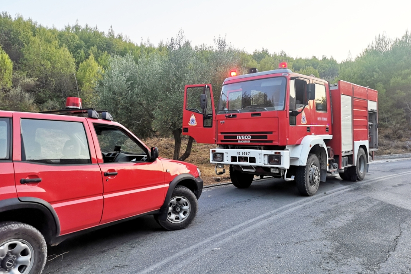 Νέα φωτιά στη Ζάκυνθο – Συναγερμός για το χωριό Κάτω Γερακάρι