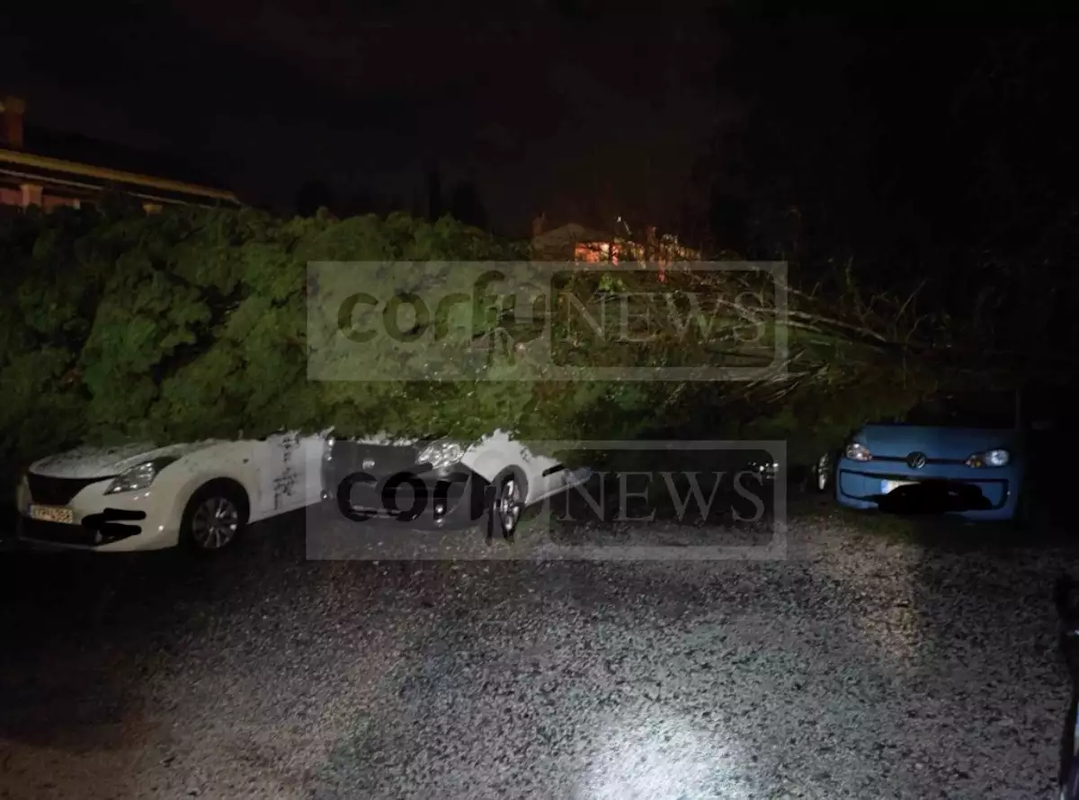 Κέρκυρα: Προβλήματα μετά από σφοδρή χαλαζόπτωση – Δέντρο έπεσε πάνω σε αυτοκίνητα