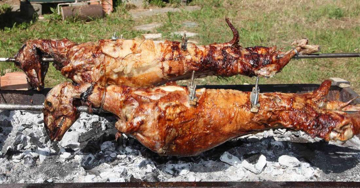 Τελικά το αρνί ή το κατσίκι είναι πιο υγιεινό; – Τα «πλην» και τα «συν» του καθενός