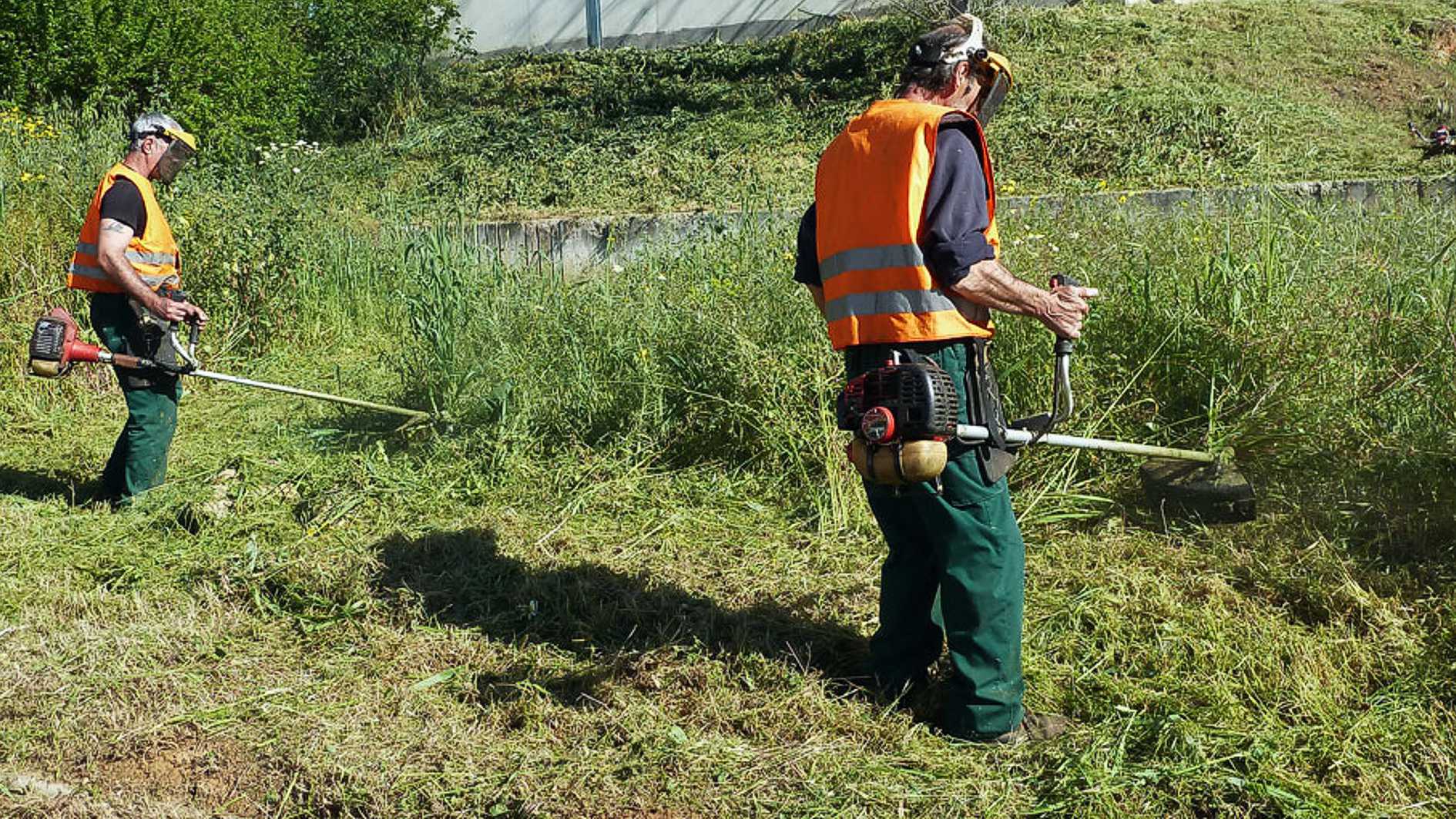 Δείτε μέχρι πότε παρατάθηκε η προθεσμία υποβολής δήλωσης στο μητρώο καθαρισμού οικοπέδων και ακάλυπτων χώρων