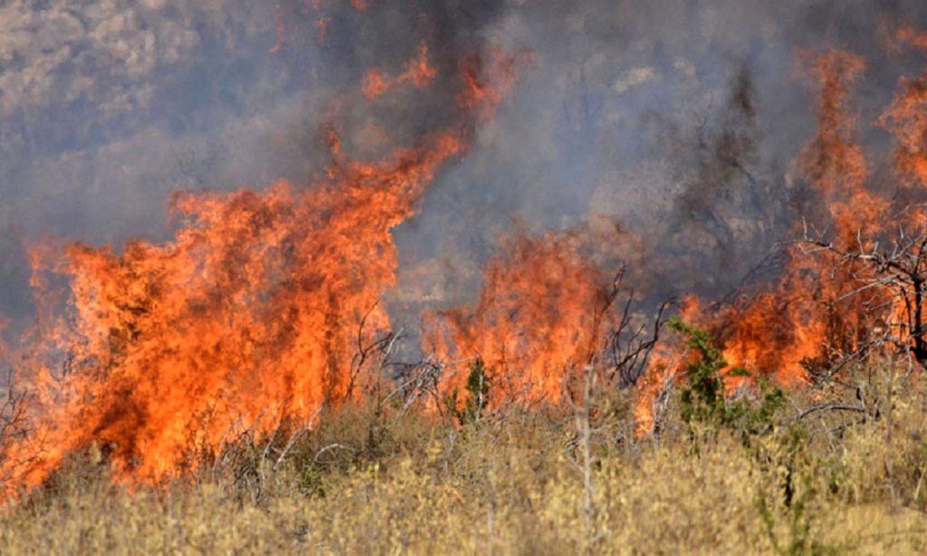 Φωτιά σε καταυλισμό Ρομά στα Εξαμίλια Κορινθίας – Καίγονται ελαστικά (φώτο-βίντεο)